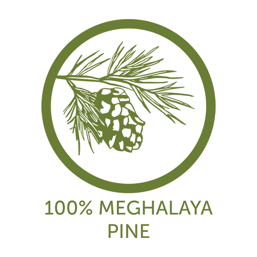 Ply Story 100% Meghalaya Plywood