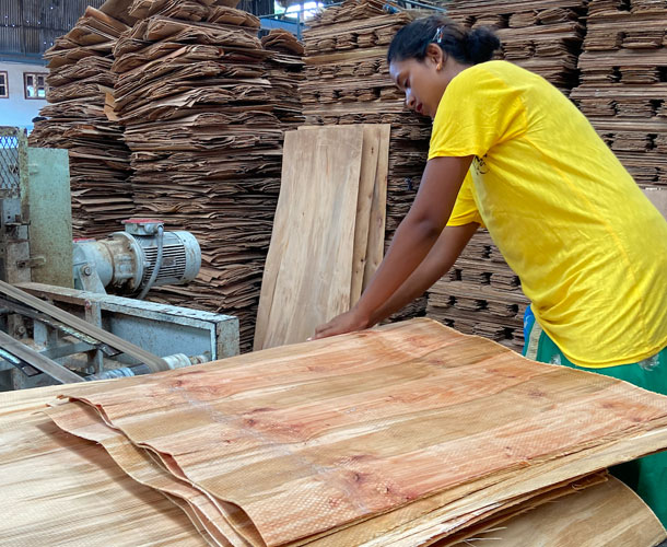 Ply Story - Plywood Manufacturing